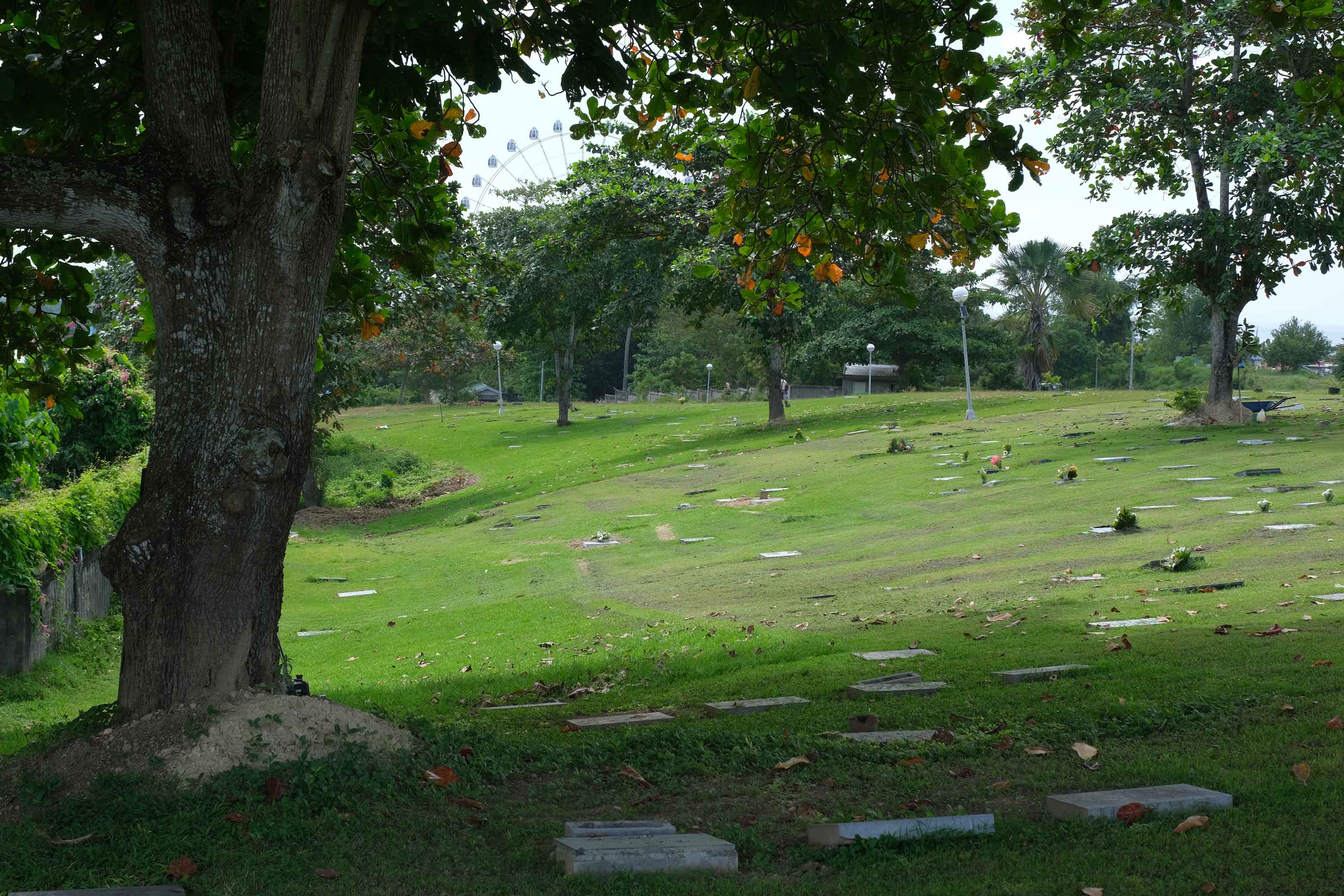 Lawn Lots